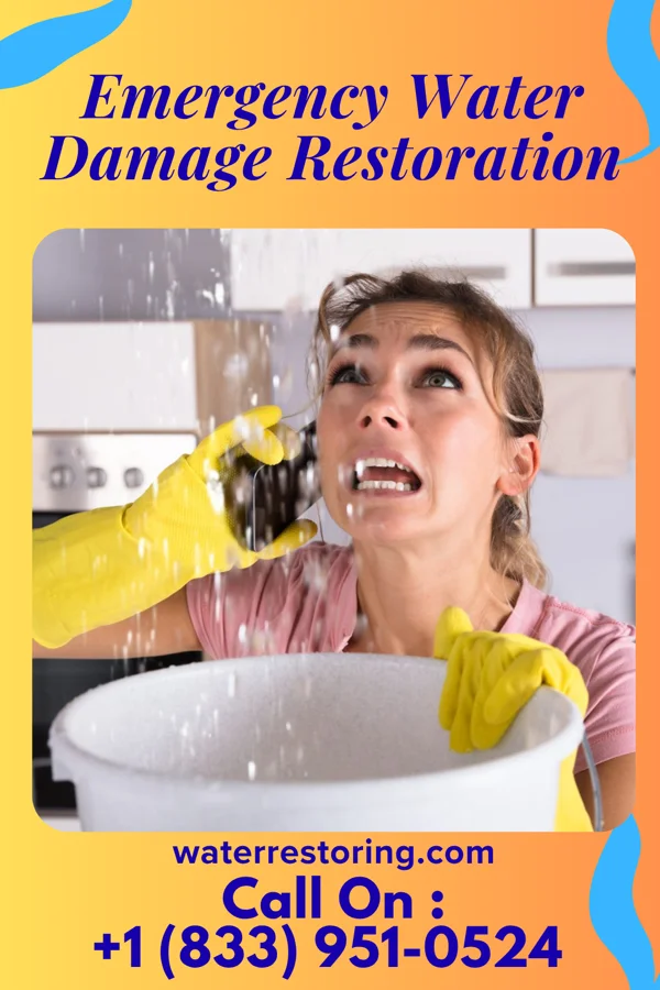 Emergency Water Damage Restoration in Springfield, CO